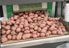 er zal een behoorlijke omloopsnelheid in moeten zitten anders worden de aardappelen groen